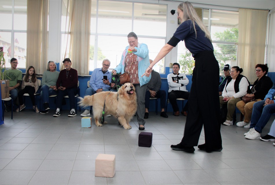 Pró-Família promove manhã com Pet Terapia e oficina de plantas medicinais para idosos