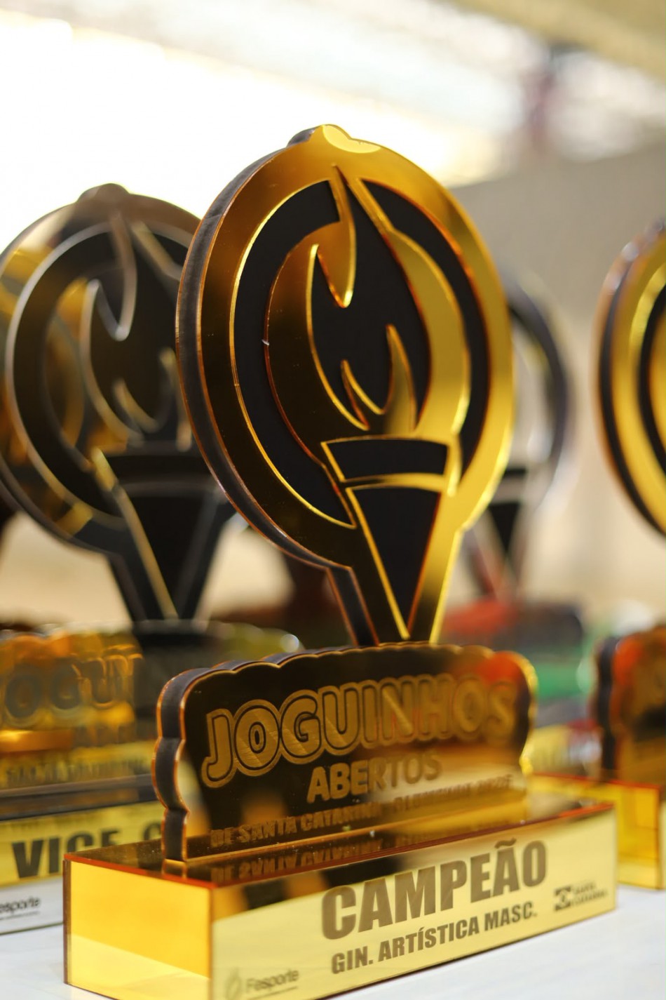 Blumenau soma 14 medalhas nos Joguinhos Abertos de Santa Catarina