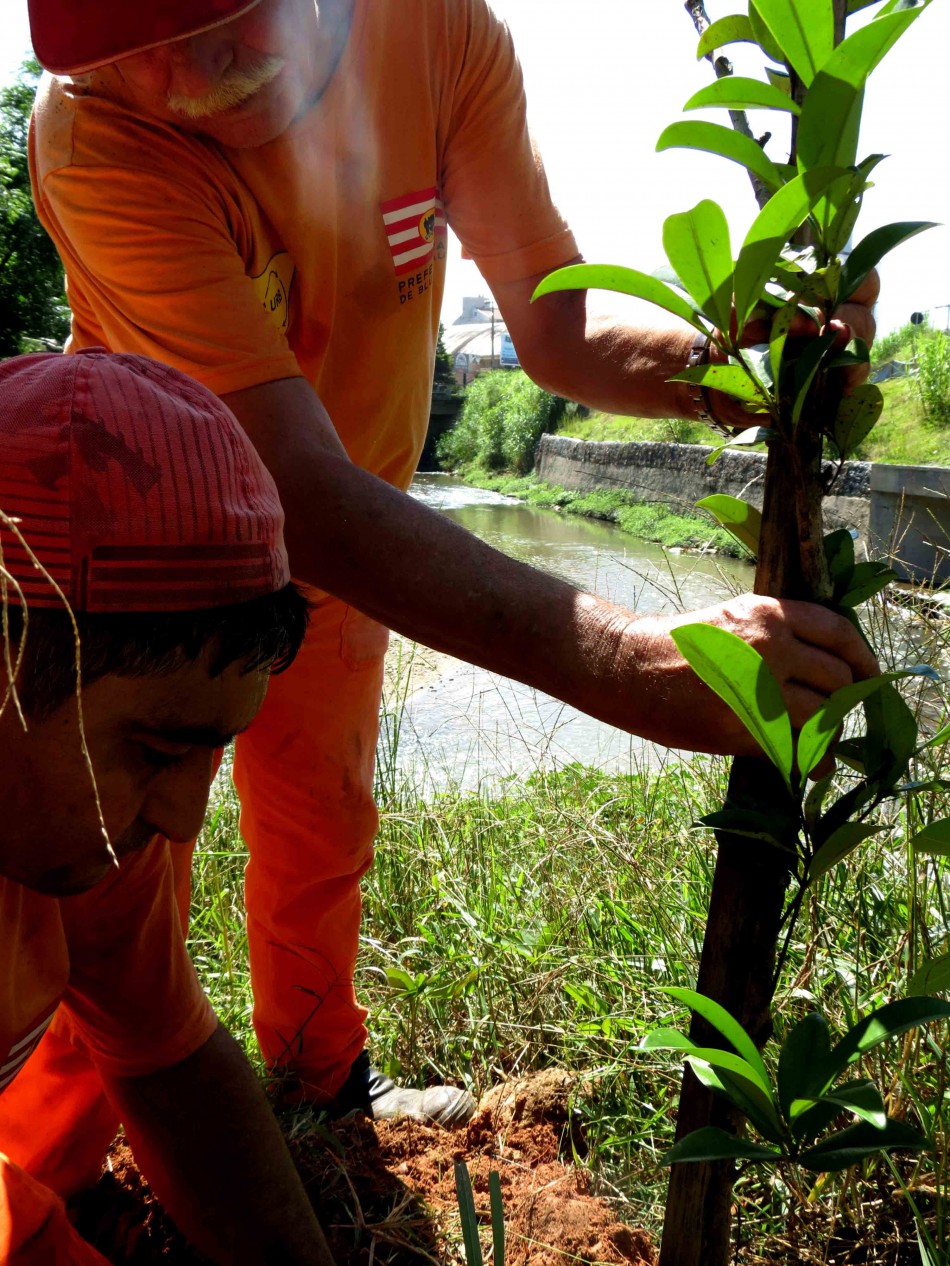 Faema celebra o Dia de Proteção às Florestas
