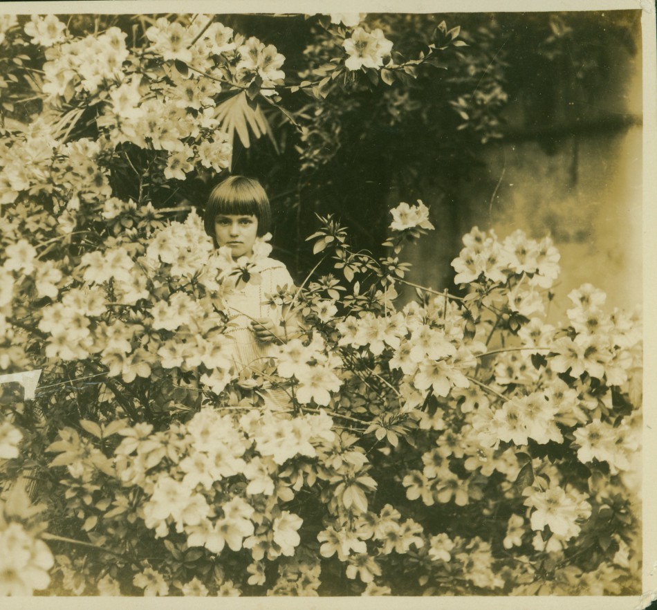 Memória Digital: Jardim de Edith Gaertner