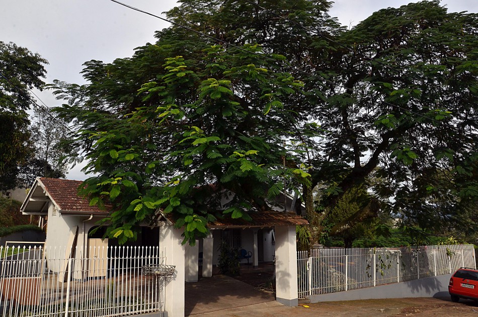 CEI Bertha Müller está em novo endereço para melhor atender alunos