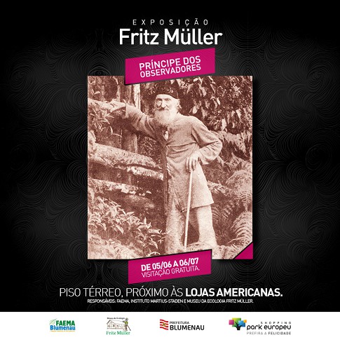 Últimos dias para visitar a exposição sobre Fritz Müller 