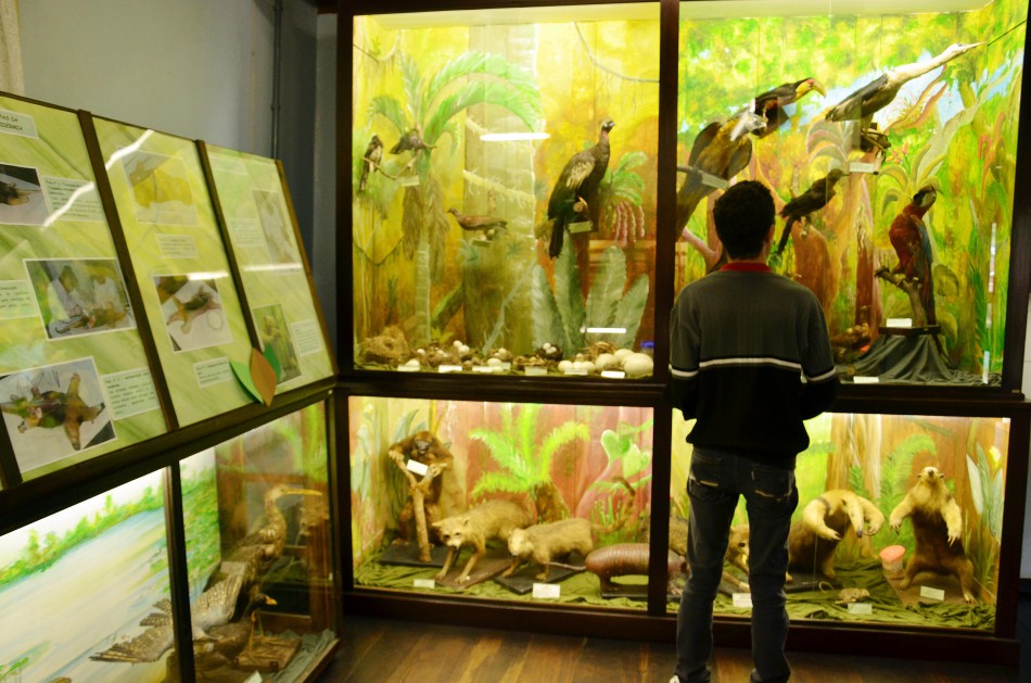 Museu Fritz Müller reabre as portas nesta terça-feira