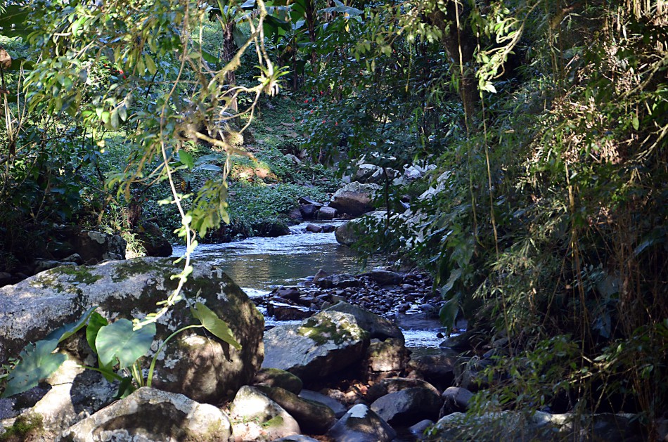 Encontro Blumenauense de Educação Ambiental tem mais de 850 inscritos