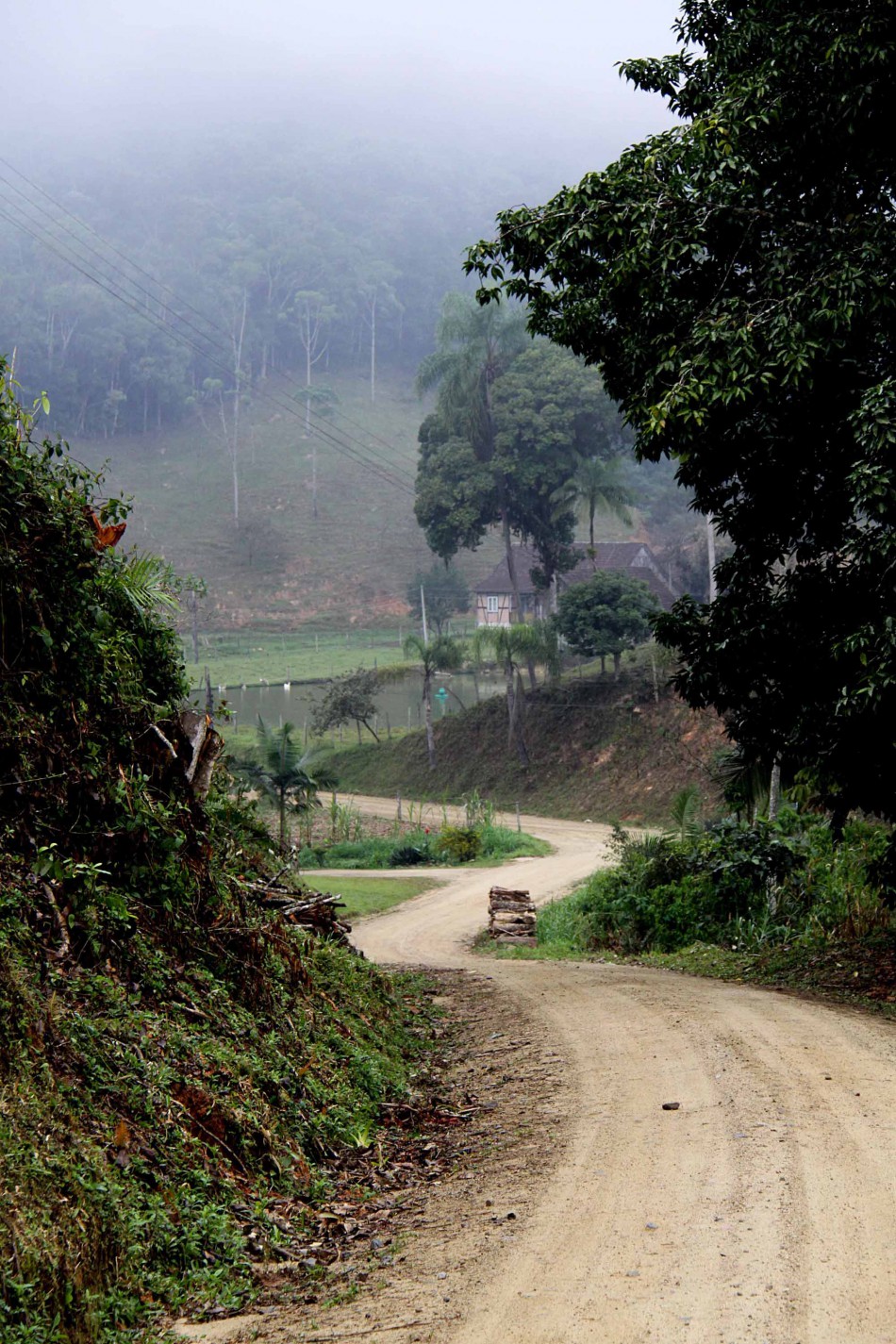 Caminhada da Vila integra programação do aniversário de Blumenau