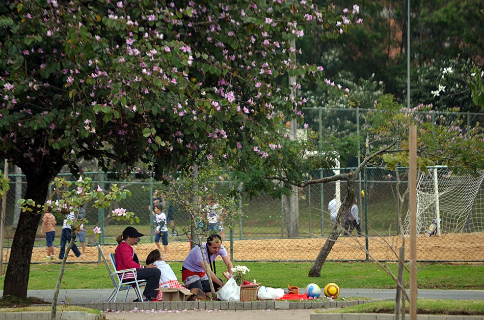 Piquenique no parque envolve pais e alunos do Cemea
