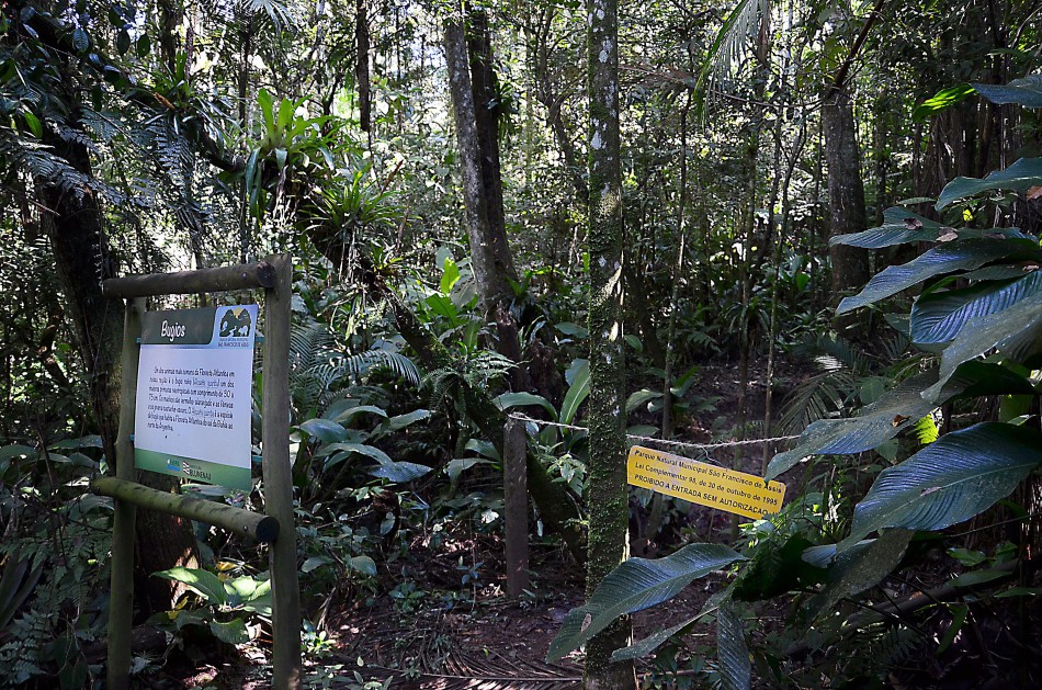 Parque São Francisco de Assis é fechado para recuperação de trilhas