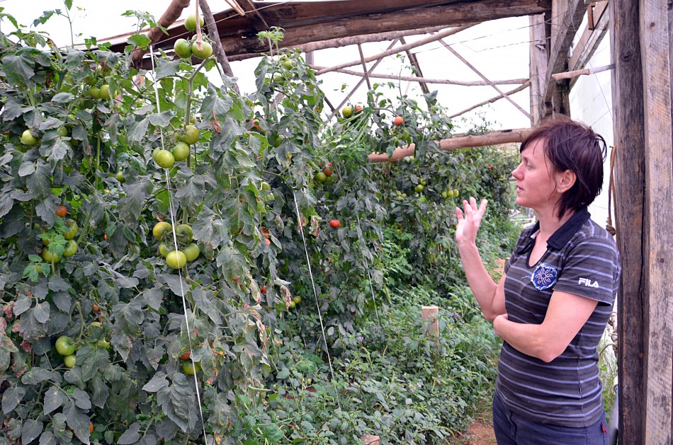 Parceria garante alimentação dos alunos direto da agricultura familiar