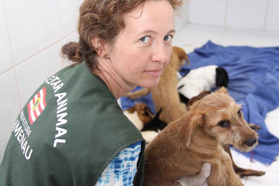 Mais uma edição do Sábado Animal no Coração de Blumenau