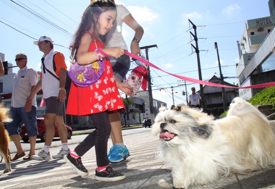 Cerca de 1.400 cães participam da 19ª Cãominhada em Blumenau