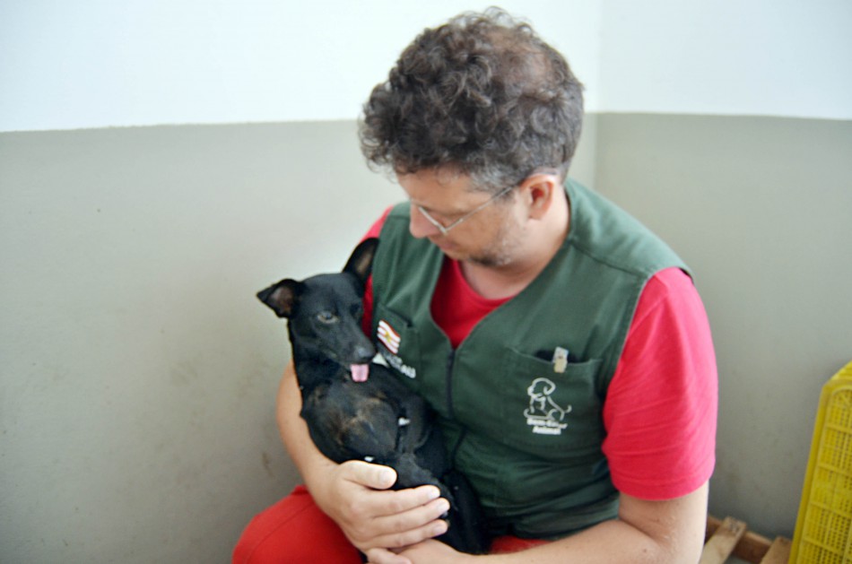 Cães e gatos de rua são castrados no Centro de Recuperação de Animais