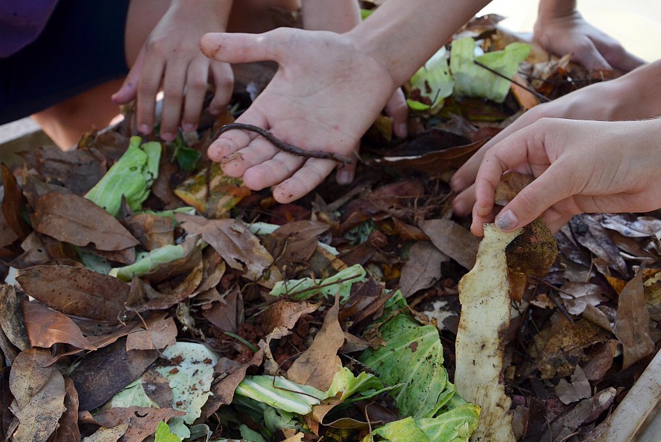 Desafio Integrador Ambiental sensibiliza estudantes sobre preservação