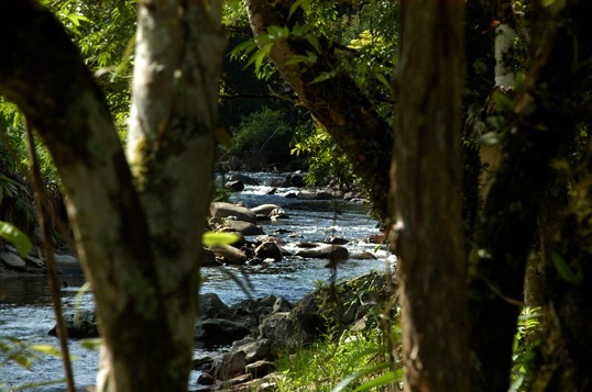 Mostra fotográfica abre atividades da Semana Municipal do Meio Ambiente