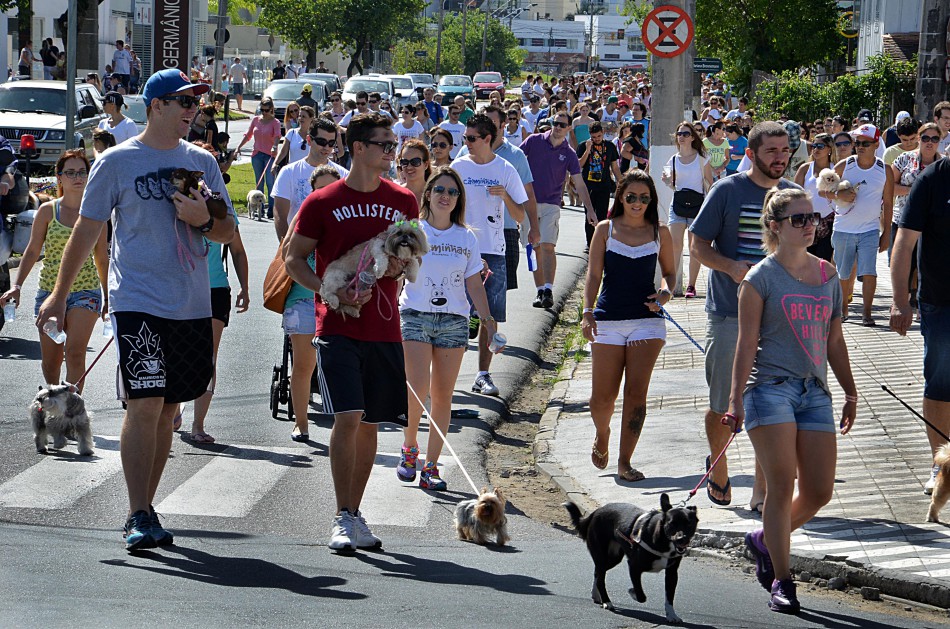 Cãominhada será neste fim de semana