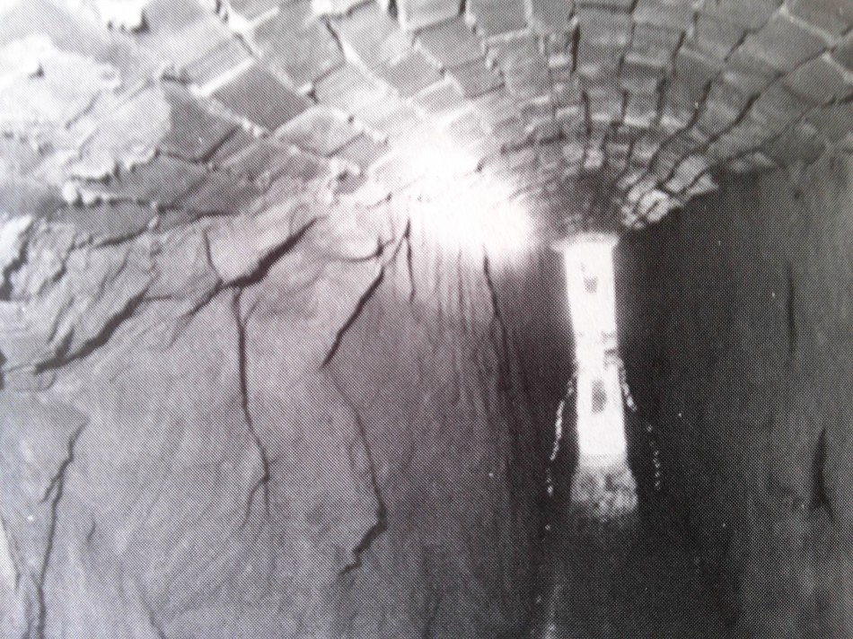 Blumenau em Cadernos destaca os encantos do túnel mítico