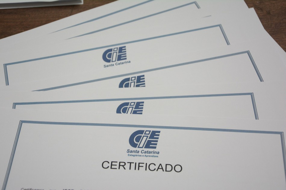 Programa de Iniciação para o Trabalho contempla 250 jovens