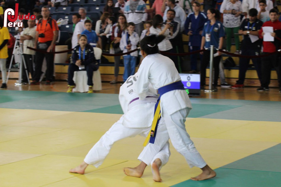 Blumenauenses conquistam medalhas em estadual de judô