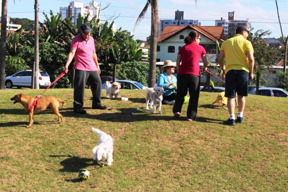 Cão no Parque e na Vila são cancelados
