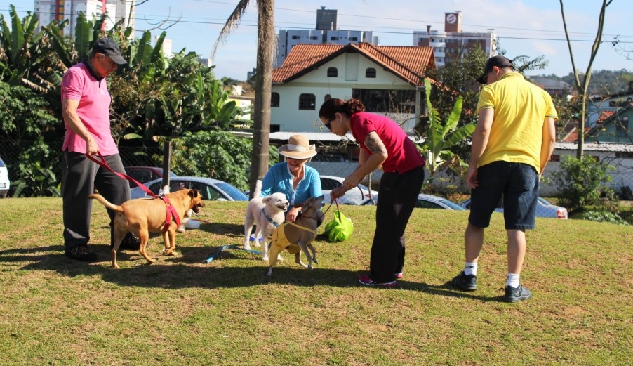 Cão no Parque e na Vila acontecem neste fim de semana