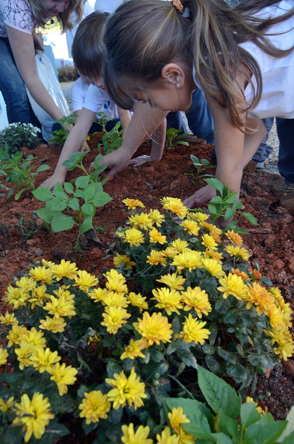Escola blumenauense é referência nacional em iniciativas sustentáveis
