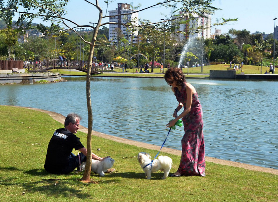Cão no Parque e na Vila estão cancelados