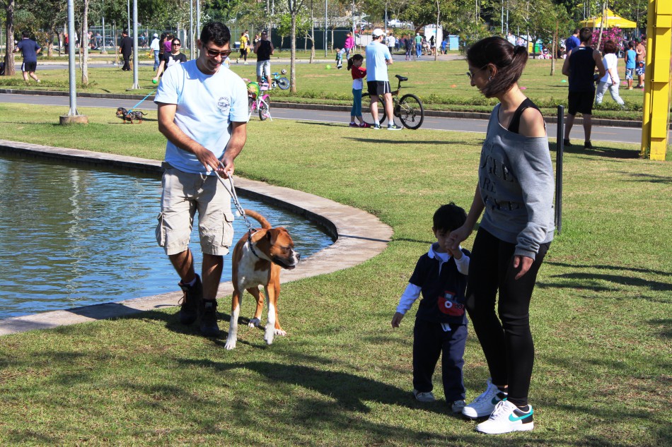 Cão no Parque e na Vila acontecem neste sábado e domingo
