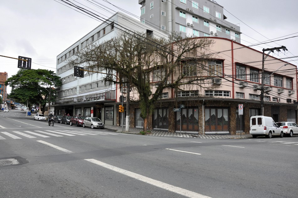 Prefeitura realiza remoção de árvore neste sábado