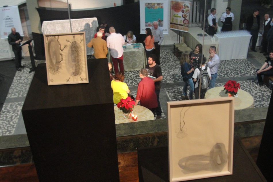 MAB recebe inscrições para exposições temporárias até dia 30
