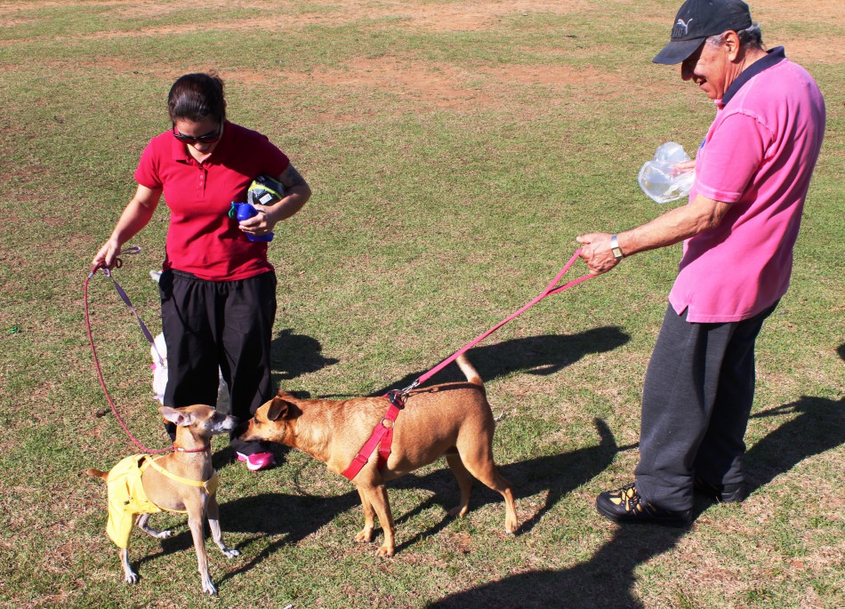 Cão no Parque e na Vila acontecem neste fim de semana