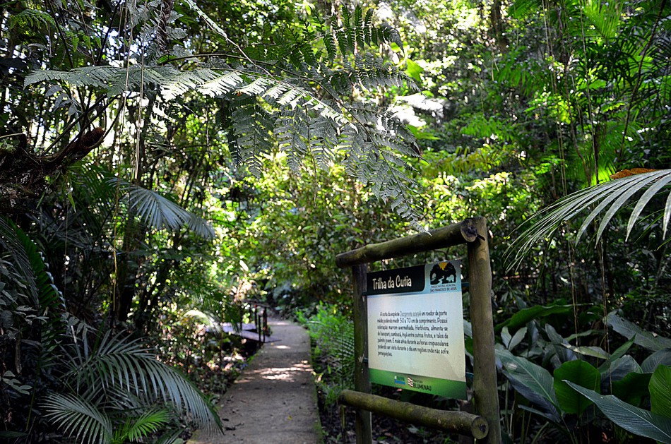 Parque São Francisco de Assis reabre para visitação