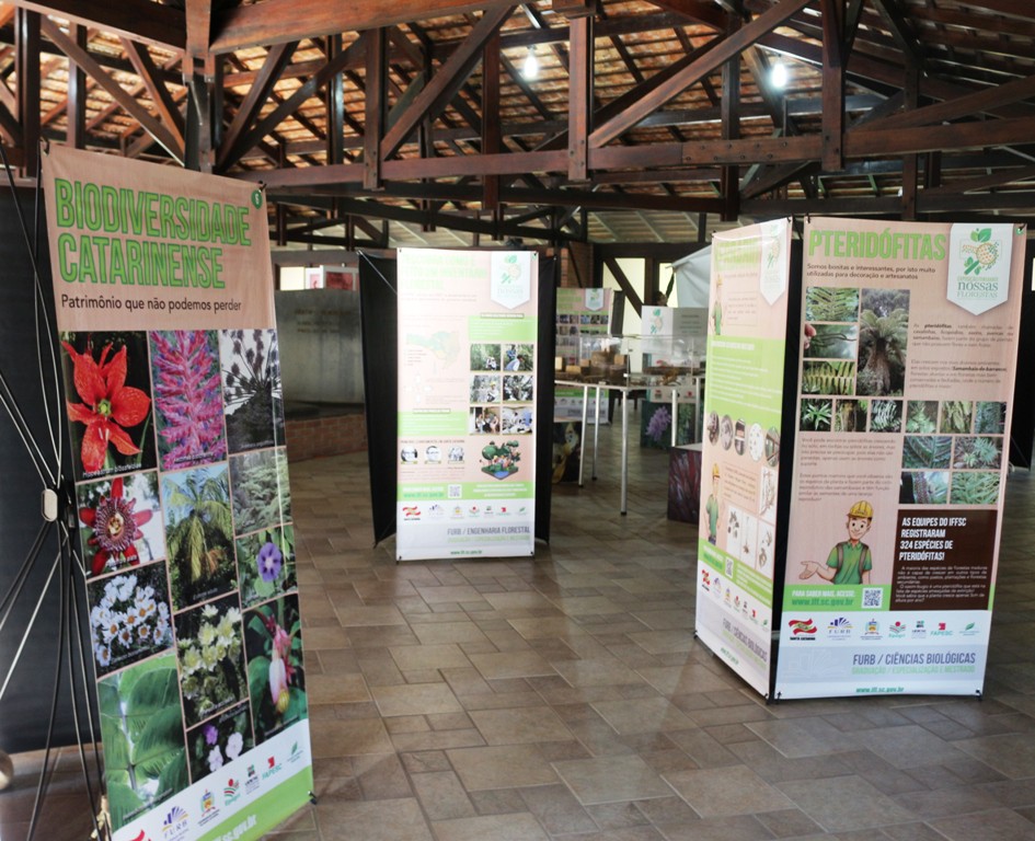 Fundação Cultural recebe exposição Nossas Florestas