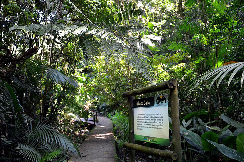 Caminhada Diurna no Parque São Francisco ocorre neste sábado