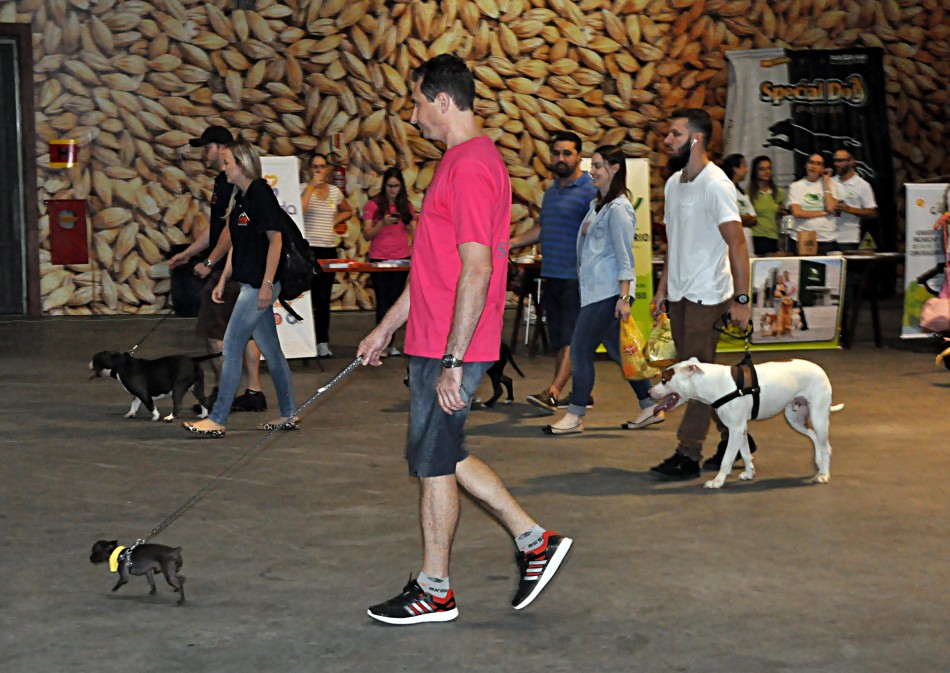 Fim de semana foi repleto de atrações em Blumenau
