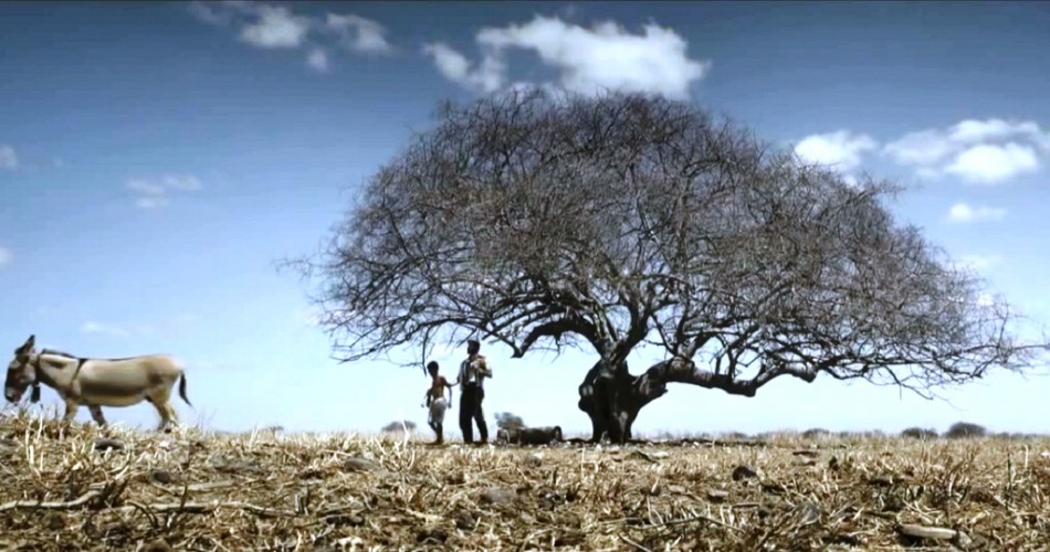 A História da Eternidade é a atração desta segunda-feira no CineArte