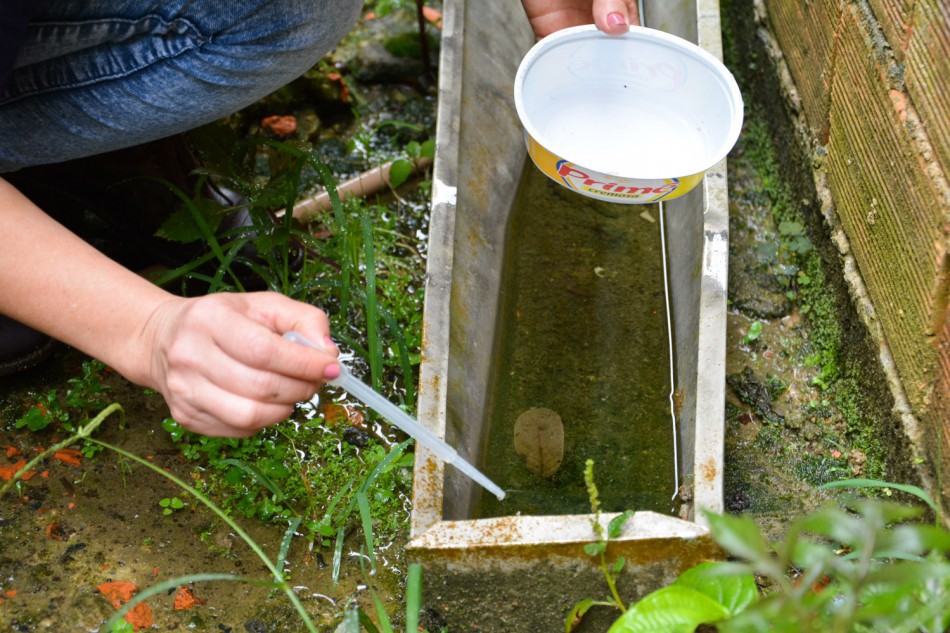 Blumenau participa de mobilização nacional contra o Aedes aegypti