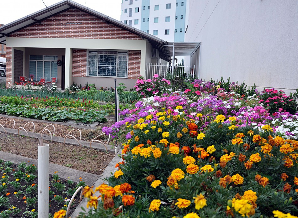 Morador da Rua Amazonas vence Concurso Municipal de Jardins