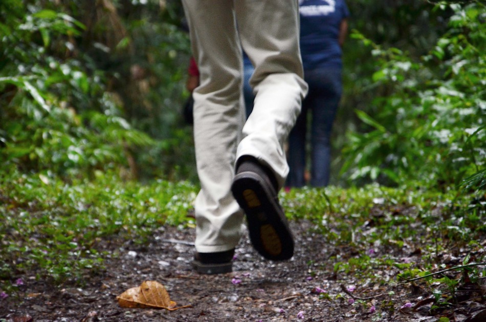 Caminhada no Parque São Francisco é cancelada em virtude da chuva
