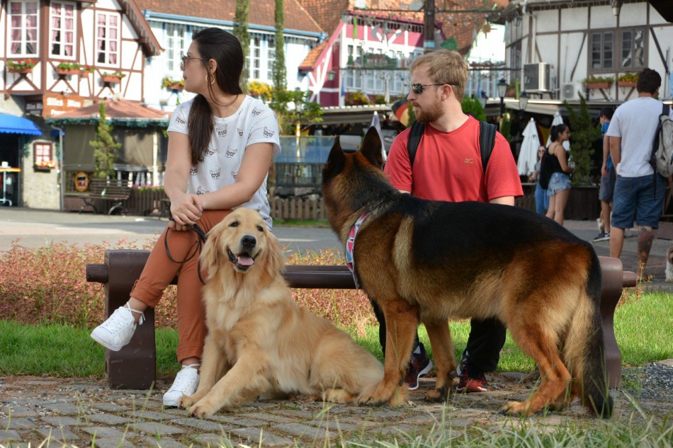 Mais de 1.300 cães participam da Cãominhada