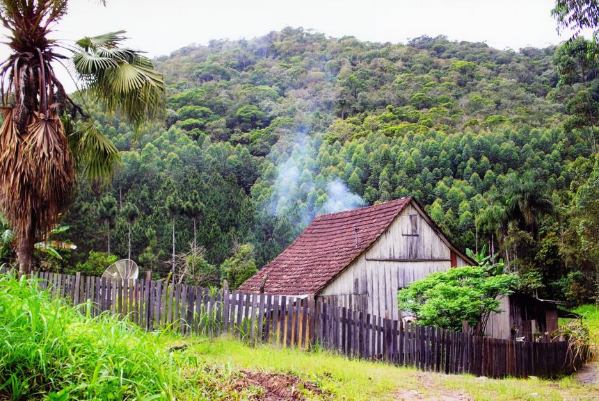 Memória Digital: O Verde da Nossa Terra
