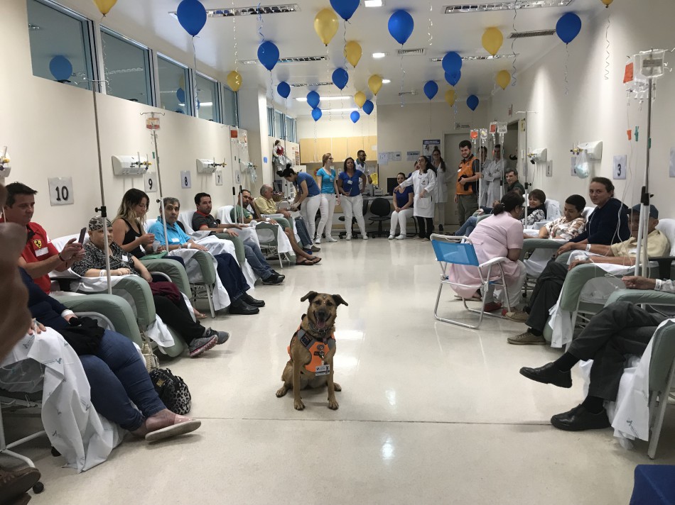 Mascote Mayla visita pacientes do Hospital Santo Antônio