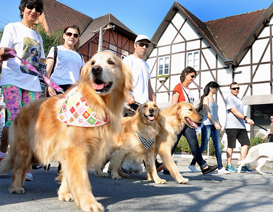 25ª Cãominhada ocorre com 1.160 cães inscritos