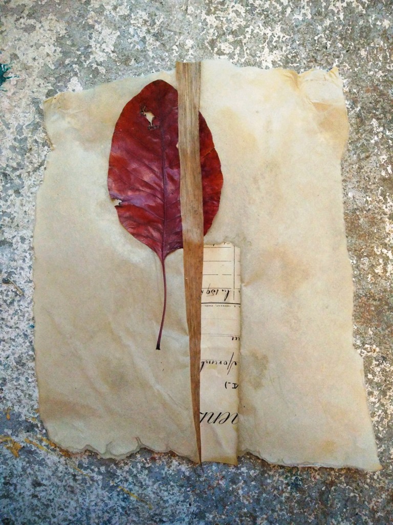 Arte natural da paulista Sandra Lapage chega ao MAB