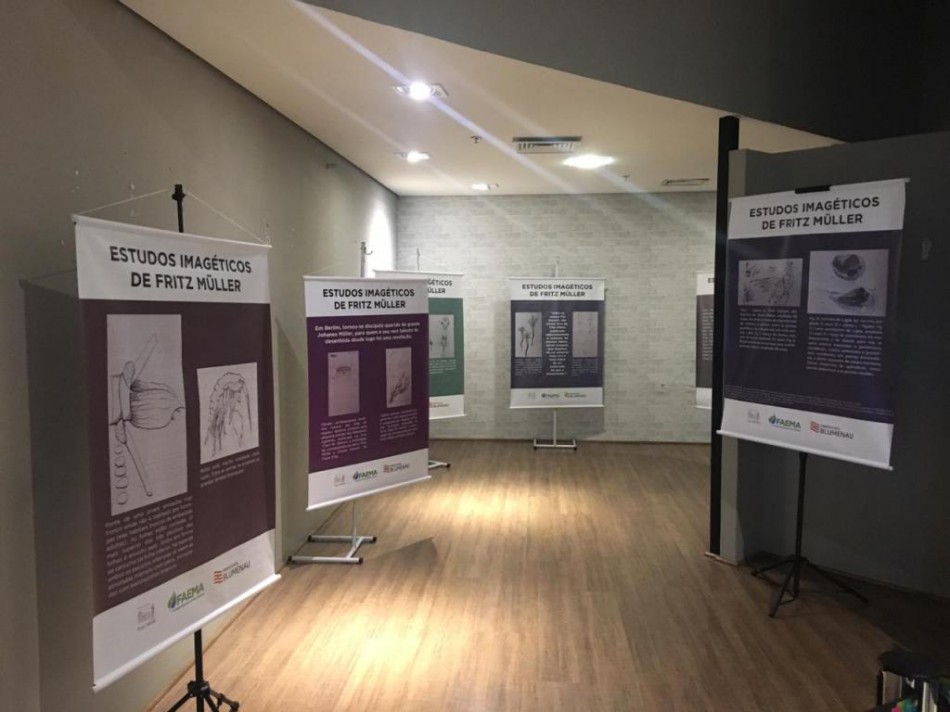 Exposição promove estudos imagéticos de Fritz Müller no Shopping Park Europeu