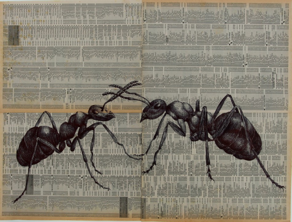Exposição "Cooperação" chega ao Museu de Arte