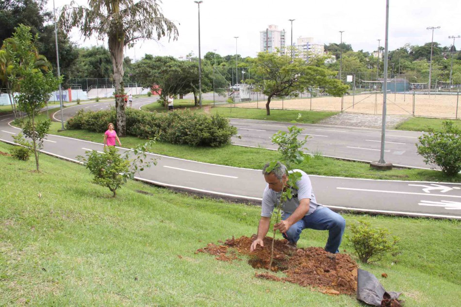Prefeitura inicia plantio de 50 novas árvores no Parque Ramiro Ruediger