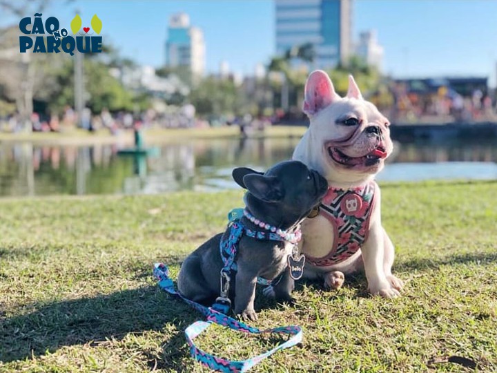 Fim de semana terá Cão no Ramiro e Parque Vila Germânica