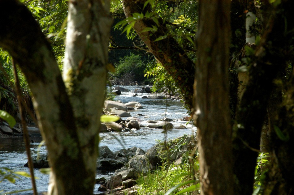 Formação em educação ambiental começa nesta sexta-feira