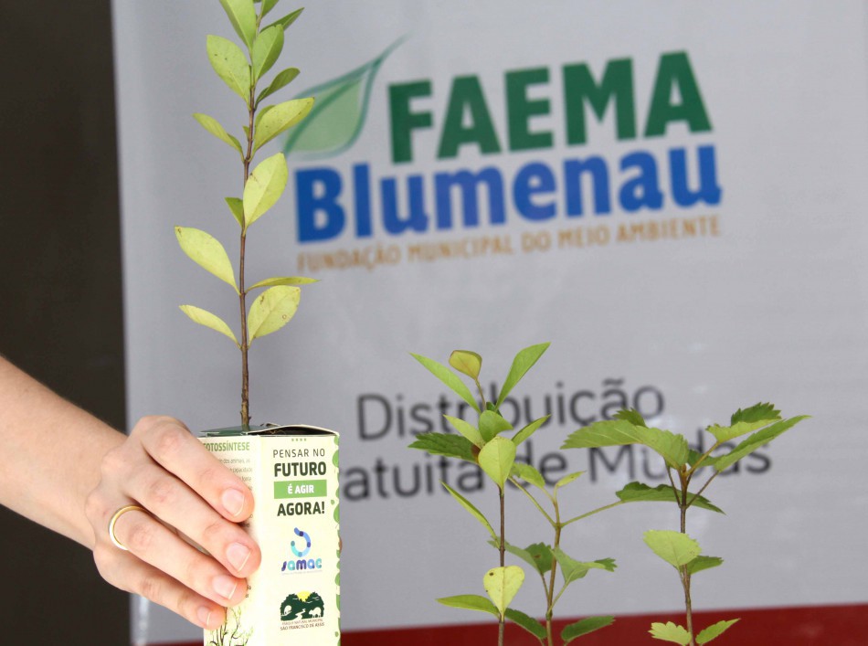 Faema divulga balanço de ações na área de educação ambiental em 2018