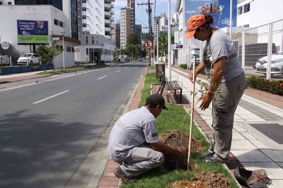 Faema realiza plantio de 37 mudas de árvores na Rua Nereu Ramos