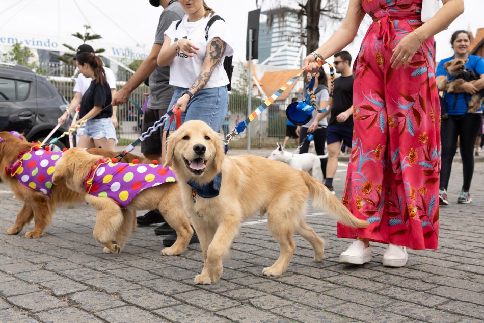Cãominhada de Blumenau tem data confirmada e empresas já podem se cadastrar para apoiar o evento